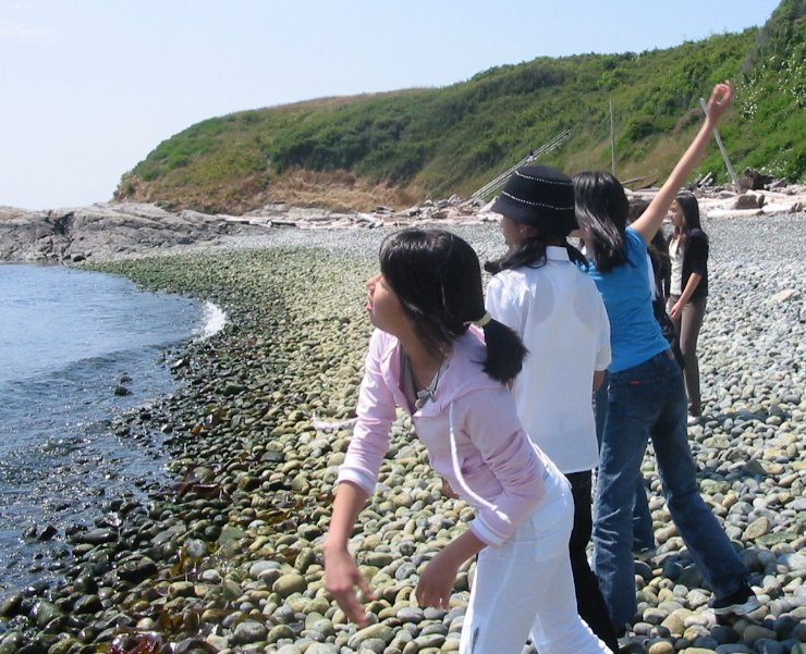 Beach 19.jpg